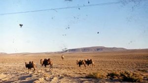 Учкудук. Исполняет ВИА " ЯЛЛА !"