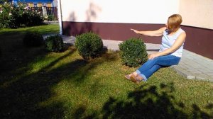 Можно ли пересаживать взрослый самшит.