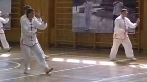 FEDERATION DONGYUE_1st set dongyue taijiquan.flv