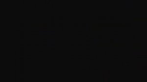 TES 5 Skyrim баги,приколы,секреты.баг на золото у торговца.