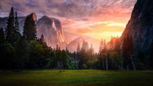 Начни Благодарить ЗА ВСЁ Прямо Сейчас! Мощная Практика Благодарности