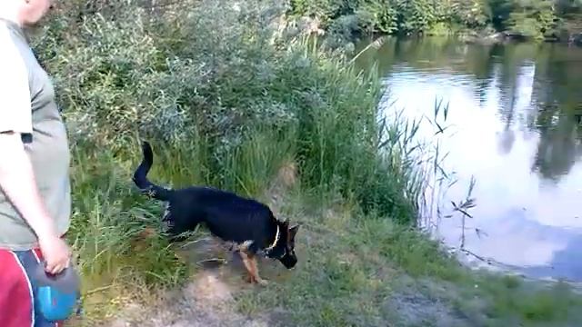 Макс на даче Захарово смотреть онлайн