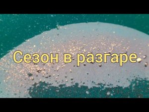 Сезон в разгаре
