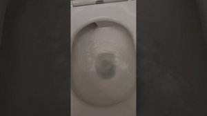 ? Унитаз литой , установил и проверяю как смывается #унитаз #сантехника #набережныечелны