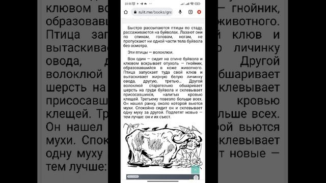 19.ГРЕБЕНЬ БУЙВОЛА/из книги "ГРЕБЕНЬ БУЙВОЛА" /Н.Н. Плавильщиков