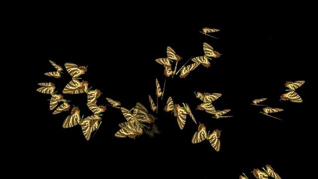 ФУТАЖИ ДЛЯ ВИДЕОМОНТАЖА