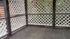 БЕСЕДКА ТИС