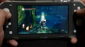 Dark Souls Remastered On Nintendo Switch Lite Part 11