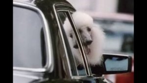 5 Комедийных боевиков