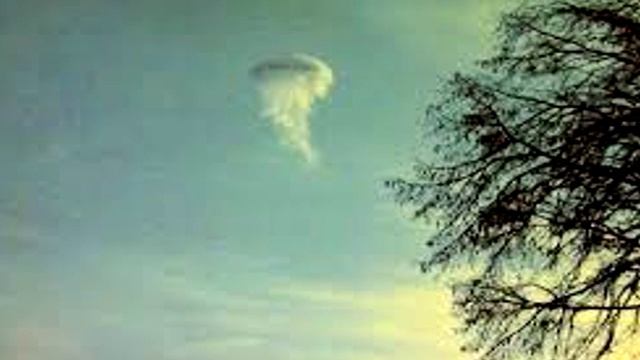 SCP-312 Atmospheric Jellyfish | Object class euclid