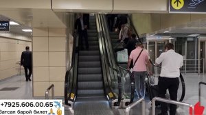 Аэропорт Домодедово прилёт 11 09 2023г