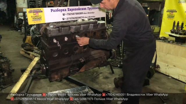 Продаётся двигатель D0826LF MAN без навесного ☎️+375292939674 VIBER Разборка Европейских грузовиков