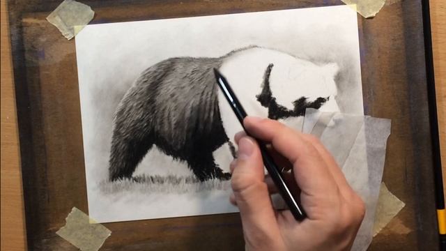 How to Draw a Bear in Charcoal смотреть онлайн