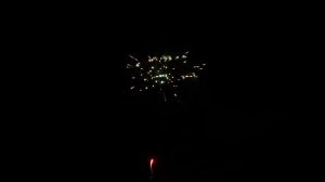 CL020 ЗОЛОТОЙ ЛЕВ (0.8_х49)