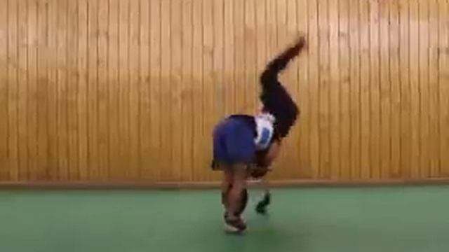 Wu-Shu Sanda , Саньда смотреть онлайн