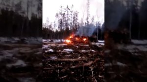 Трелевка леса тт4