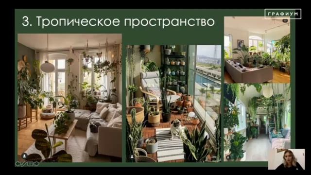 5 свежих трендов в озеленении интерьера | Фитодизайн