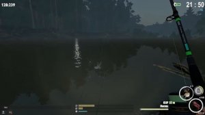 Синец и Краснопёрка на реке Пра Fisher Online : Сборная Соляночка