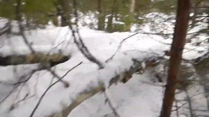 В лес за валежником на тяжелом мотоблоке, на гусеницах зимой