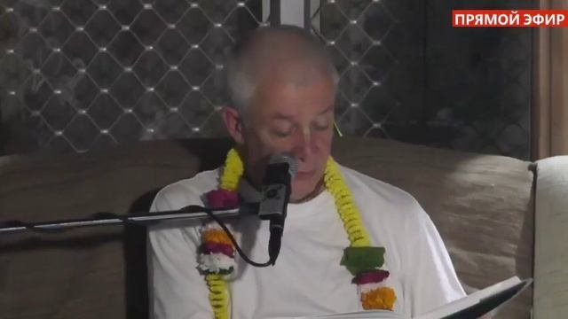 Прямая трансляция пользователя Александр Хакимов. Прямые трансляции