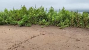Маяк на острове Русском/Пробежка по мысу Тобизина