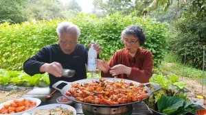 요리 먹방】 고맙소 할멈~! 지글지글 철판 닭갈비에 막걸리 한잔 합시다 (부추새우전, 배깍두기) Spicy Chicken Mukbang ASMR