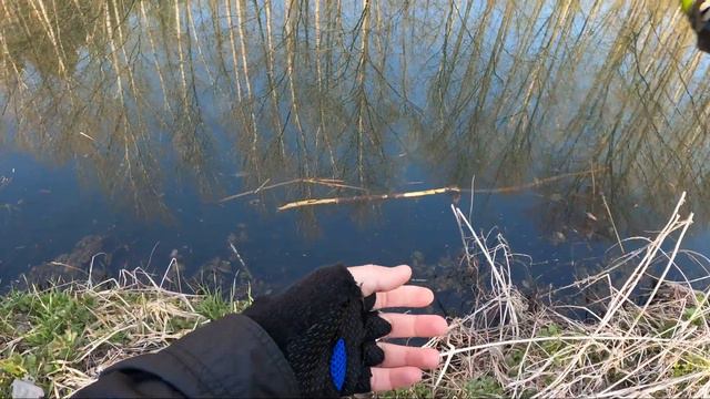 Спиннинг Для Твичинга - Johncoo BOOSTER 2,1 м. Дергает Как Надо! смотреть онлайн