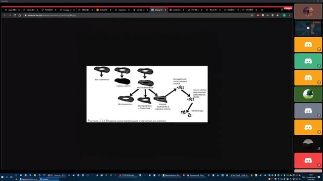 Влияние ионизирующего излучения на организм человека - проект Дмитрия