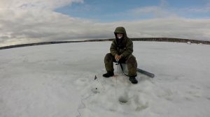 Ловля леща на безмотылку "чертик"