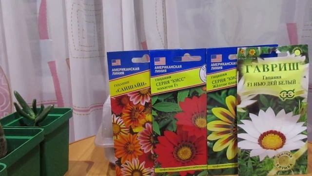 Сею Гацанию и отвечаю на вопросы смотреть онлайн