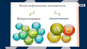 Есть для того, чтобы жить или жить для того, чтобы есть?