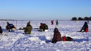 Семь чудес Архангельской области