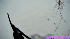 СУПЕР ОХОТА НА ЗАЙЦА ЗАГОНОМ!!! Четыре ЗАЙЦА вышли на номер!!!