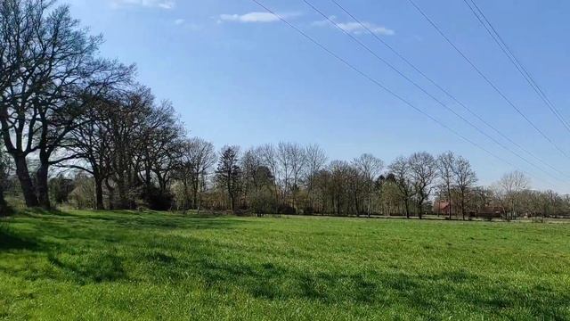 Дошли до гнезда Аиста, Лошади смотреть онлайн