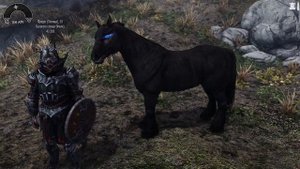 Скайрим моды: 5 ВЕРСИИ КОНЯ АРВАКА В SKYRIM САМЫЙ ЛУЧШИЙ КОНЬ