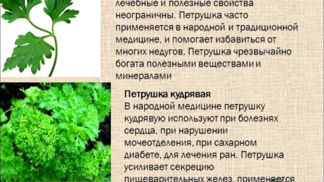 Этот мощный чай из петрушки — лучшее средство для опухших ног и рук!