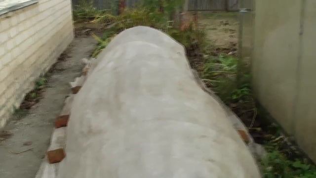 Как укрыть розы. Часть 2. Укрывной материал для роз. Укрытие отдельных кустов смотреть онлайн