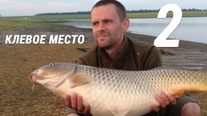 Карповая рыбалка на Желтом. Еще одна... / Александр Харланов