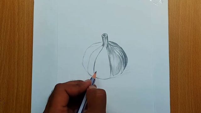 how to draw garlic || garlic pencil shade drawing || pencil shade drawing || easy drawing || drawin смотреть онлайн