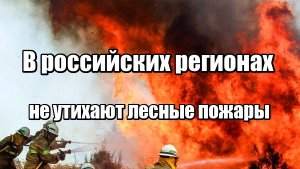 В российских регионах не утихают лесные пожары