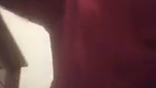 Как сделать подстилку в переноску для. Кота смотреть онлайн