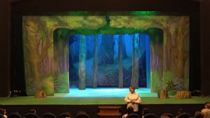 "Красная шапочка"