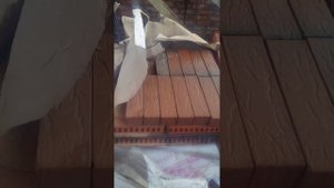 Отзыв о кирпиче . Пятый элемент