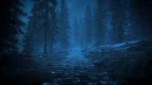 Forest Rain Walk - Relaxing Background (2 Hour)