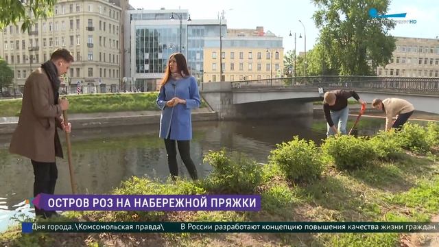 «Остров роз» на набережной Пряжки смотреть онлайн