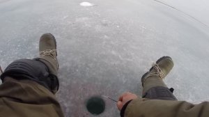 Влад и Роман поймали! 24 февраля. Завершение сезона зимней рыбалки на Маныче. 23 год  Ю. Философ