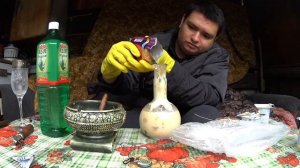 "Витаминный" коктейль с Whiskas