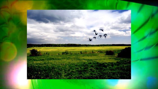 Песня Беларусь мая