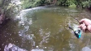 На что клюет голавль в конце лета!🎣🐟🦈 #107#FF