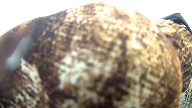 Удачный 22.09.2018 смотреть онлайн